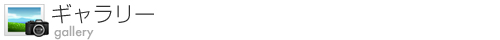 ギャラリー